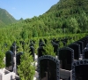 如何判定死亡（为很么要进行停尸）