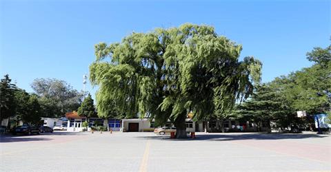 北京门头沟区殡仪馆(图3)